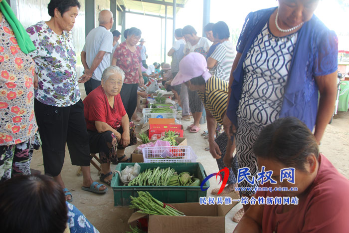 雙塔鎮(zhèn)大棚蘆筍收購忙