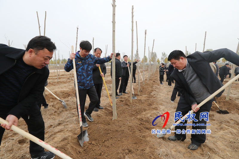 縣四家領導參加冬季義務植樹活動