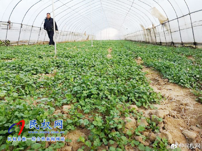 莊子鎮(zhèn)王西村：特色產業(yè)助推精準扶貧