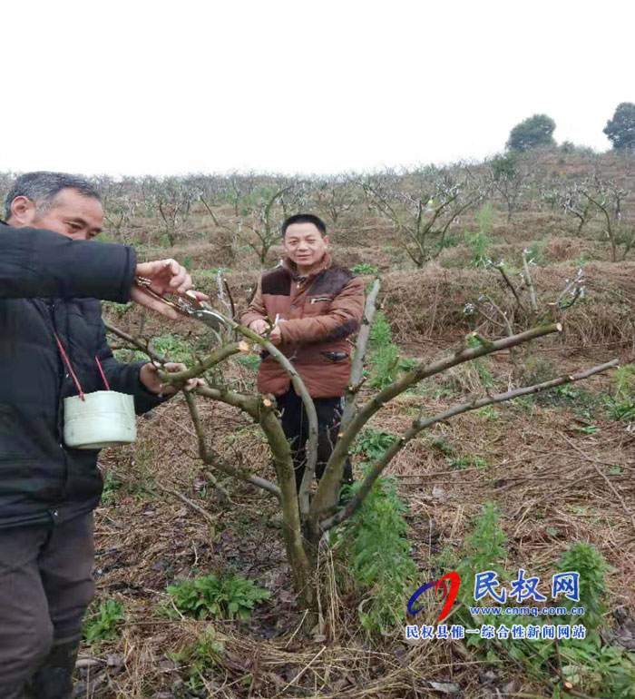 縣園藝站通過果樹高接換頭提升民權(quán)果品競(jìng)爭(zhēng)力