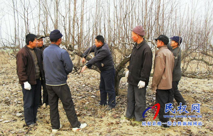 園藝站多措施預防果樹“倒春寒”