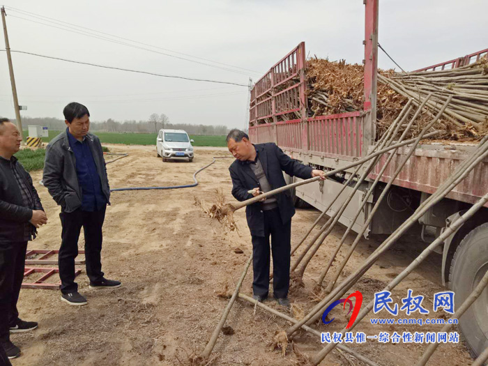 縣林業(yè)局嚴把植樹造林質(zhì)量關