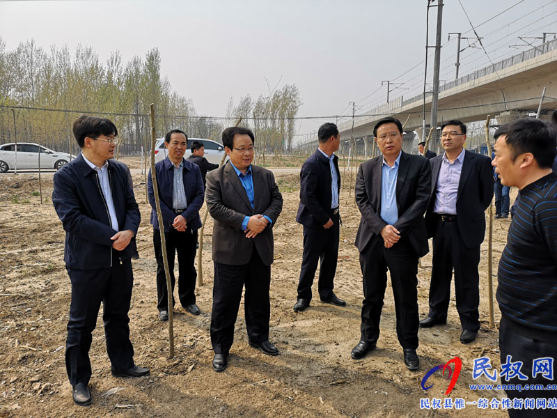 副市長張家明調(diào)研我縣國土綠化提升和生態(tài)廊道建設(shè)進(jìn)展況