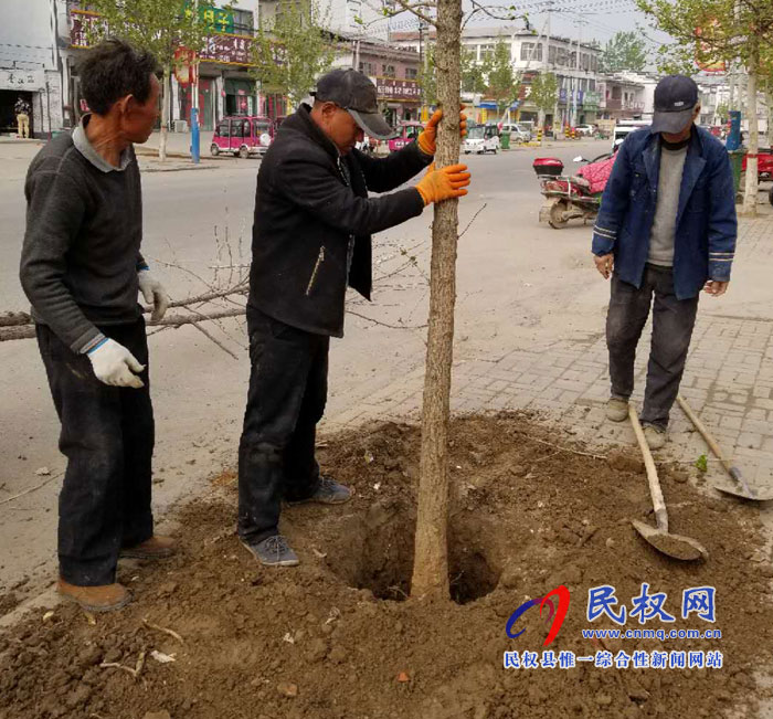 孫六鎮(zhèn)：補(bǔ)植綠化樹?扮靚鎮(zhèn)域風(fēng)景