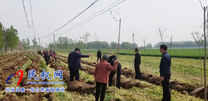 莊子鎮(zhèn)積極開展國(guó)土綠化、植樹造林活動(dòng)