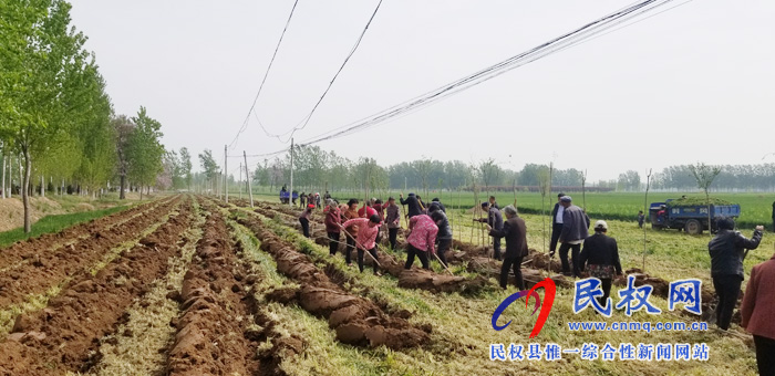 莊子鎮(zhèn)積極開展國(guó)土綠化、植樹造林活動(dòng)