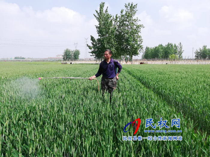 雙塔鎮(zhèn)掀起小麥“一噴三防”高潮