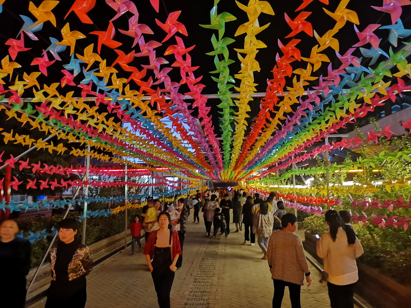 花園鄉(xiāng)趙洪坡村“夜游模式”備受游客追捧