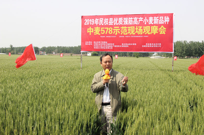 2019年商丘市優(yōu)質強筋高產小麥新品種示范現(xiàn)場觀摩會在民權召開