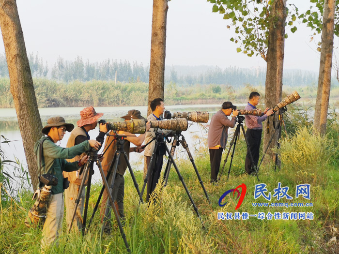 河南民權(quán)黃河故道國(guó)家濕地公園“青頭潛鴨重要繁殖地”新聞發(fā)布會(huì)今日舉行