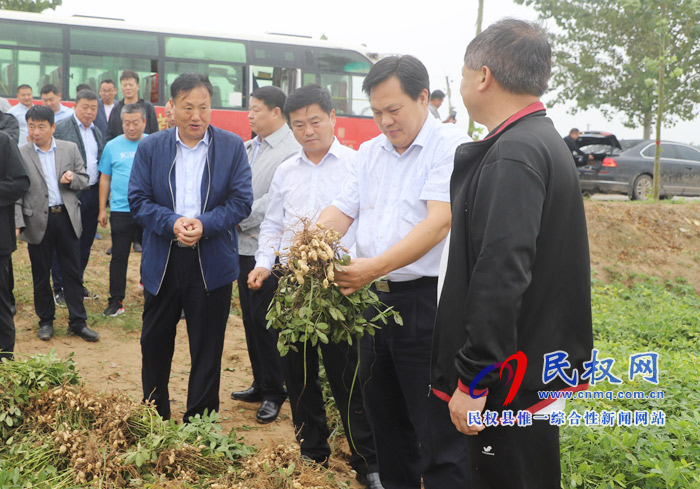 民權：莊稼地里 慶國慶 話豐收