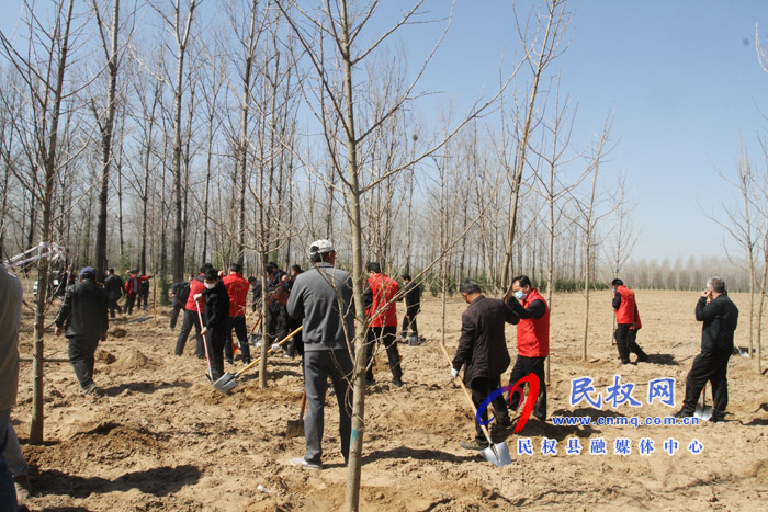 市人大常委會(huì)在民權(quán)國(guó)家森林公園舉辦民主法治生態(tài)建設(shè)主題植樹(shù)活動(dòng)