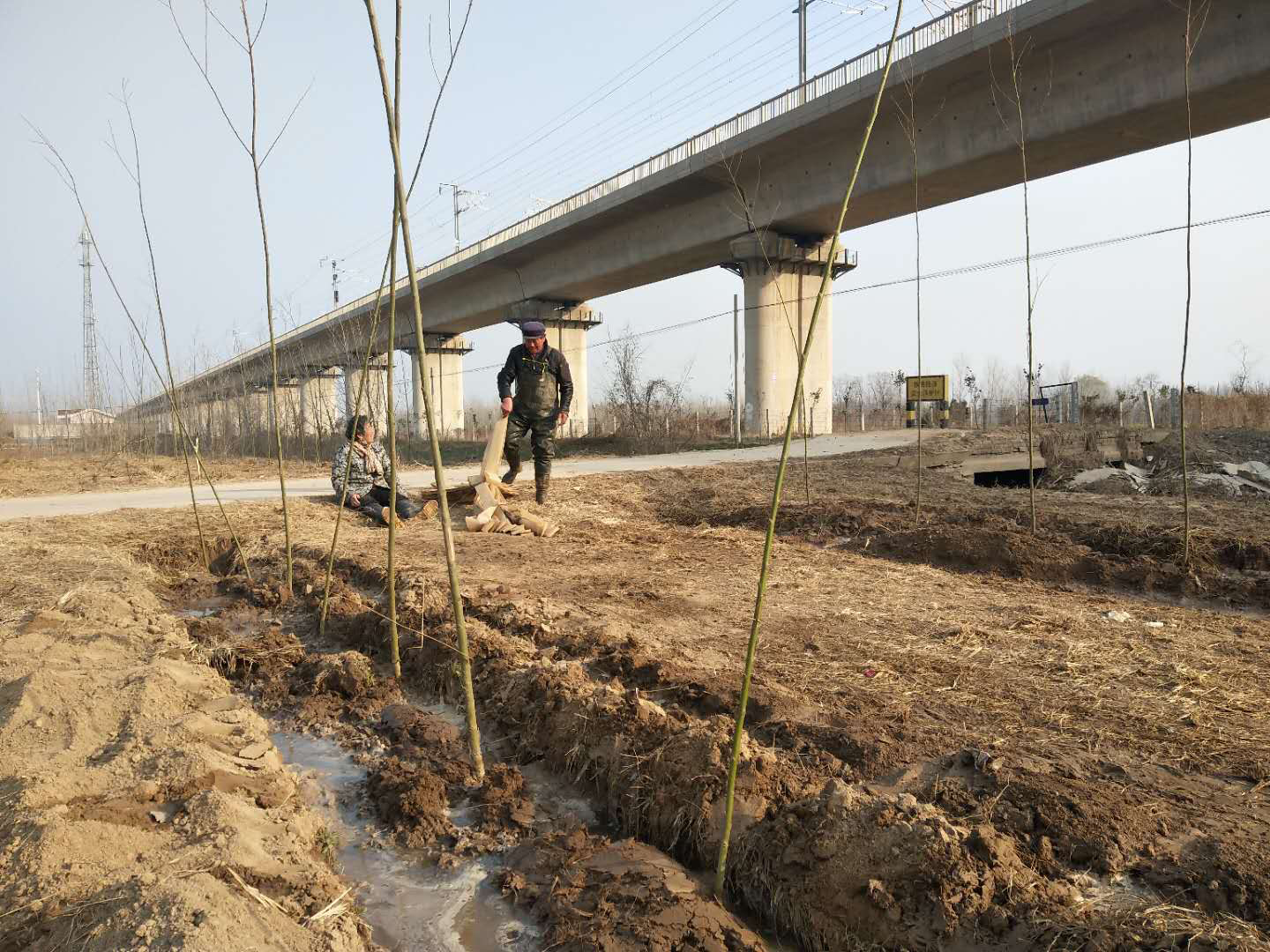 野崗鎮：澆好成活水 護好生態林