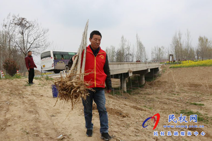 白云寺鎮(zhèn)財(cái)政所開展義務(wù)植樹活動(dòng)