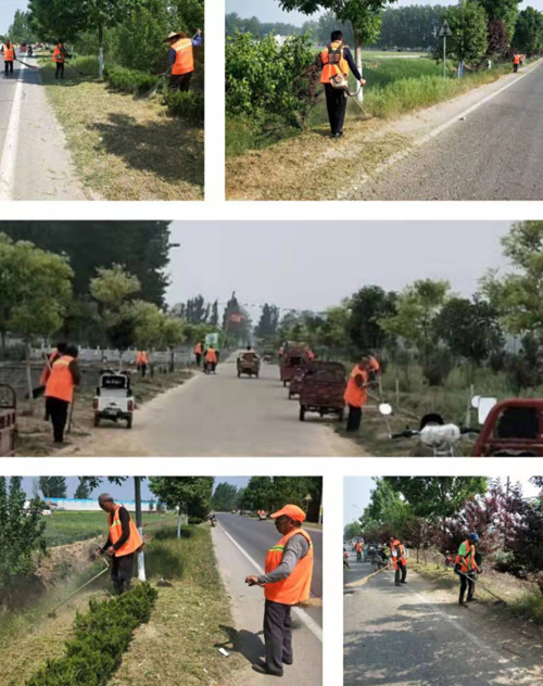 程莊鎮(zhèn)：開展道路雜草和雜物清理專項整治活動