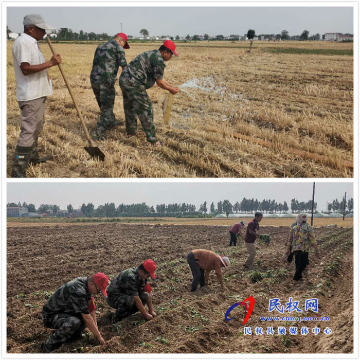 伯黨鄉(xiāng)：“小紅帽”活躍在田間 抗旱搶種顯身手