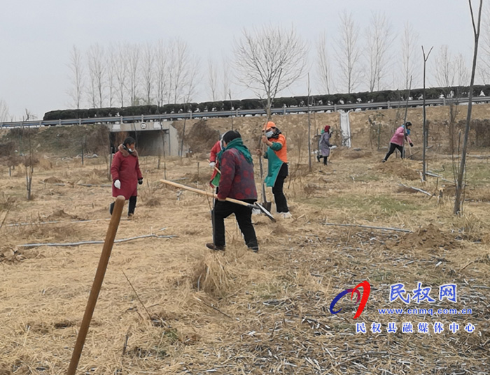 野崗鎮(zhèn)：早春植好護路林 生態(tài)屏障一線綠