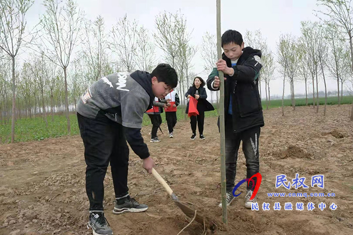 植樹護綠正當時 ——“美麗民權·青春護綠我先行”青少年植樹活動