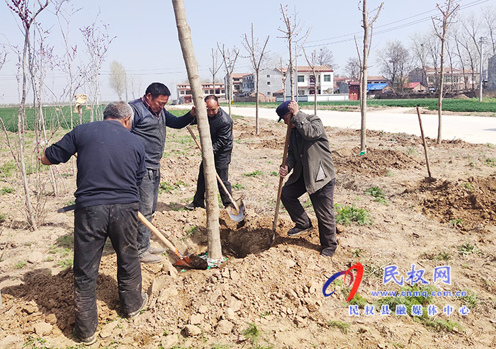 王莊寨鎮(zhèn)：春季綠化促環(huán)保 攜手共建美家園