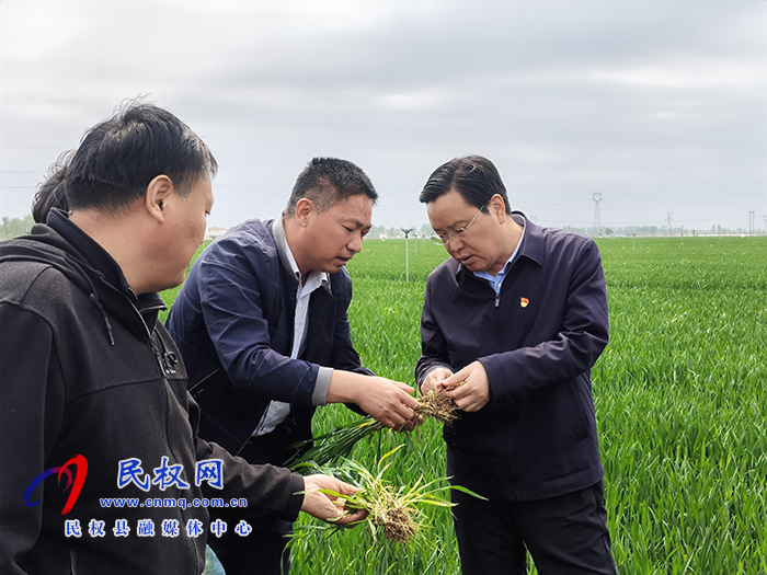 市人大常委會(huì)副主任、縣委書記姬脈常察看春季農(nóng)業(yè)生產(chǎn)及高標(biāo)準(zhǔn)糧田建設(shè)工作