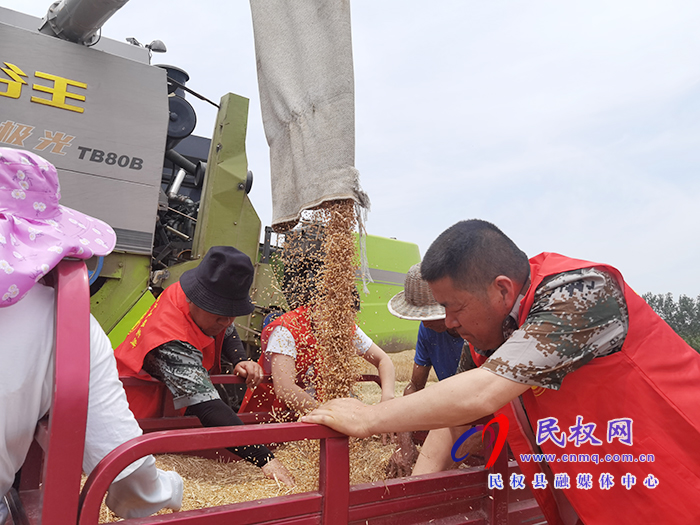 民權(quán)縣孫六鎮(zhèn)：11支黨員志愿服務(wù)隊(duì)奮戰(zhàn)在田間地頭