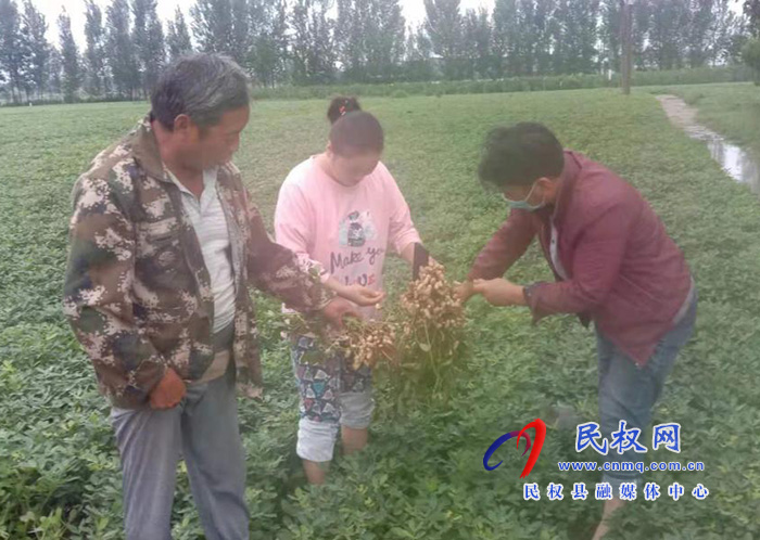 雙塔鎮(zhèn)：做好秋作物雨后田間管理工作