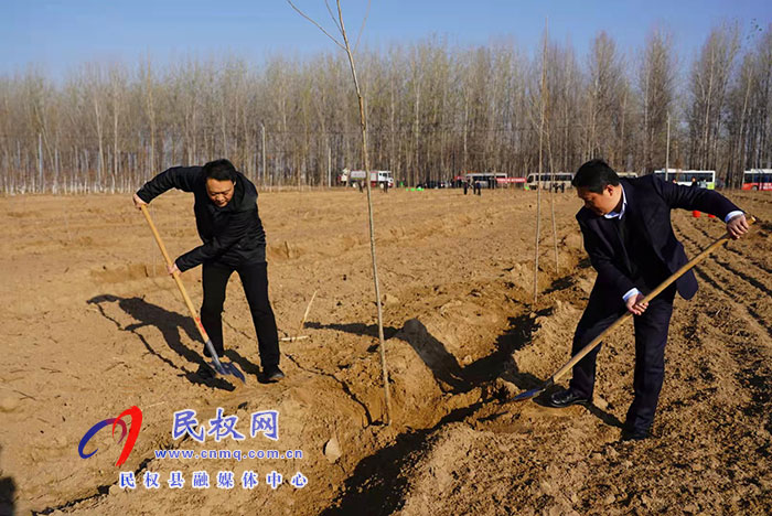 我縣組織開(kāi)展冬季義務(wù)植樹(shù)活動(dòng)