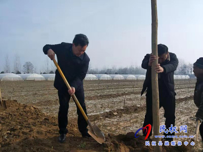 龍?zhí)伶?zhèn)：春種“一棵樹”  夏收一片林