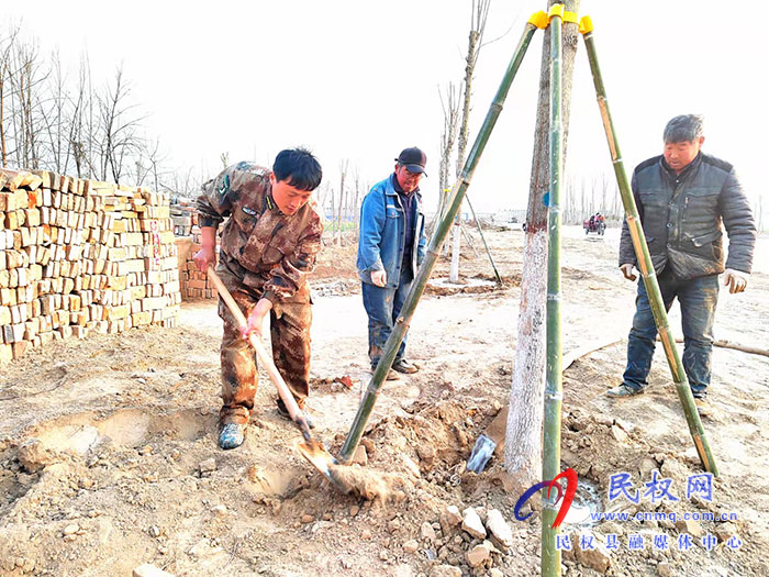 白云寺鎮(zhèn):植樹添新綠，不負好春光