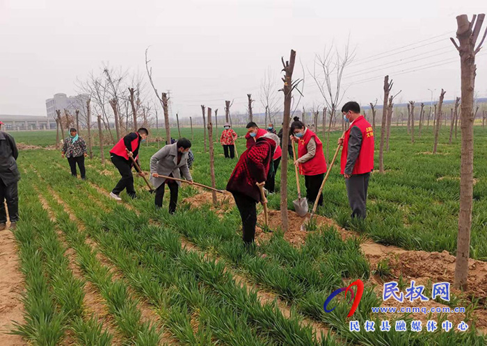 春暖三月學(xué)雷鋒，植樹(shù)護(hù)綠我先行