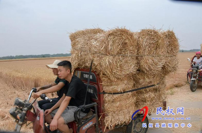 民權(quán)縣人和鎮(zhèn)：秸稈禁燒綜合利用變廢為寶