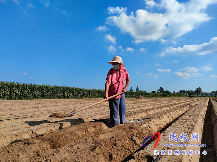 花園鄉(xiāng)防疫生產(chǎn)兩不誤民生保障落實處