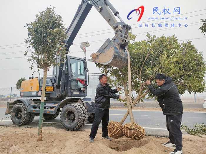 民權(quán)縣花園鄉(xiāng)：植樹(shù)造林讓村莊綠起來(lái)