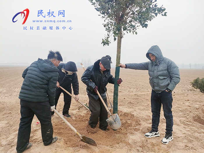 民權(quán)縣花園鄉(xiāng)：植樹(shù)造林讓村莊綠起來(lái)