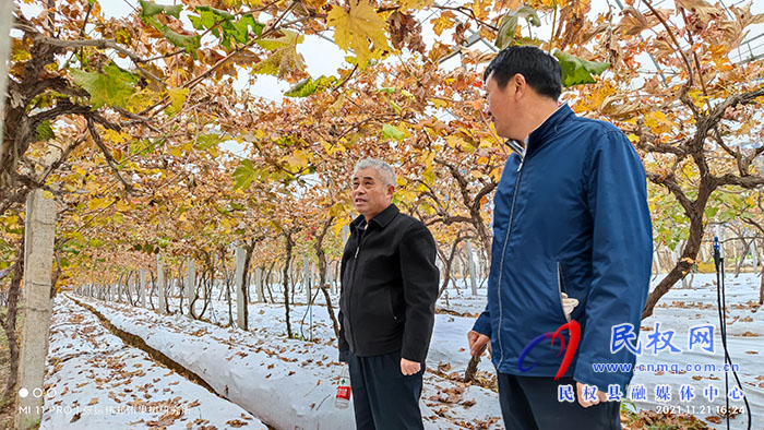 小菌菇 大能量——林下種植菌菇，助推鄉(xiāng)村振興