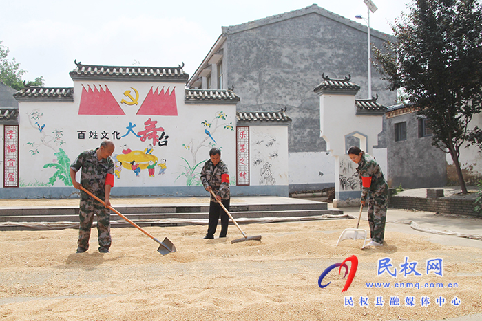 花園鄉(xiāng)：三夏幫扶隊  活躍在田間