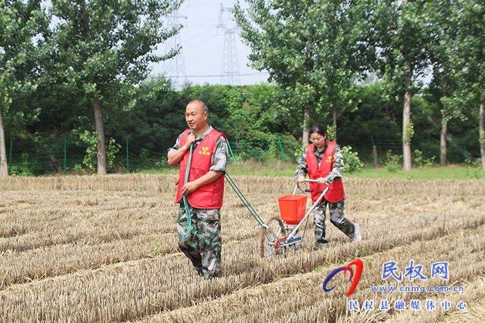 花園鄉(xiāng)：三夏幫扶隊  活躍在田間