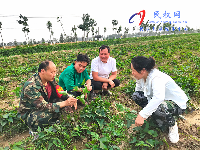 龍?zhí)伶?zhèn)：夏種正當時 夏管抓落實