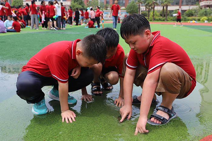 “悠悠艾香溢佳節(jié) 綿綿粽情潤端午”——民權求實學校端午節(jié)主題教育活動