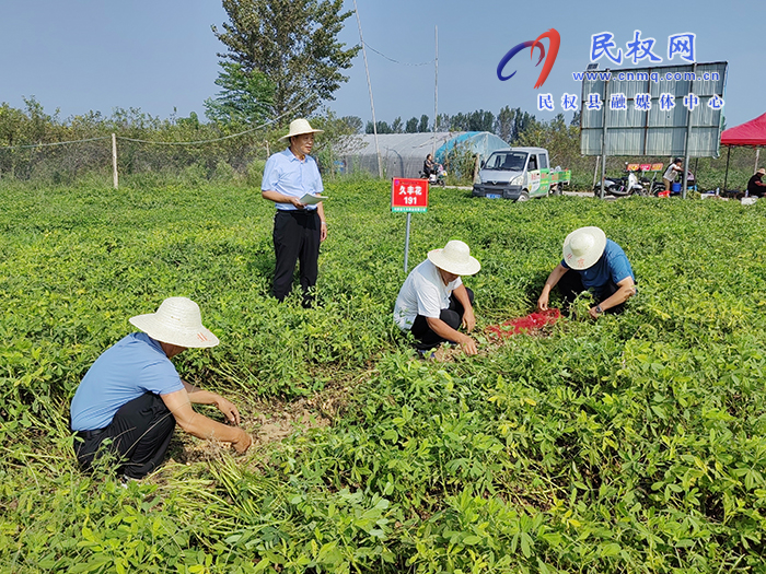 市農(nóng)業(yè)專家到我縣開展花生實地測產(chǎn)助力農(nóng)民增產(chǎn)增收